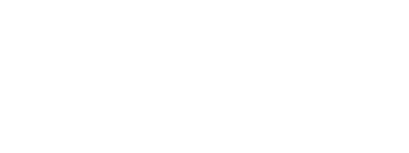 DATASUS Logo